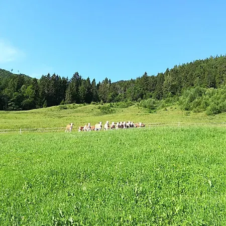 Bauernhofpension Moar In Reith Kleinsolk